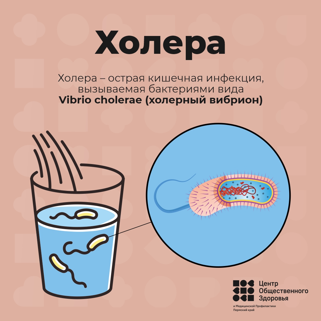 Холера картинки для презентации